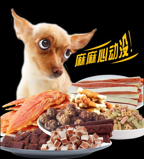 狗狗零食挑選指南 從磨牙棒到肉干，為泰迪選對每一口
